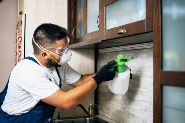 Best Cockroach Control Services  in Lochearn, MD