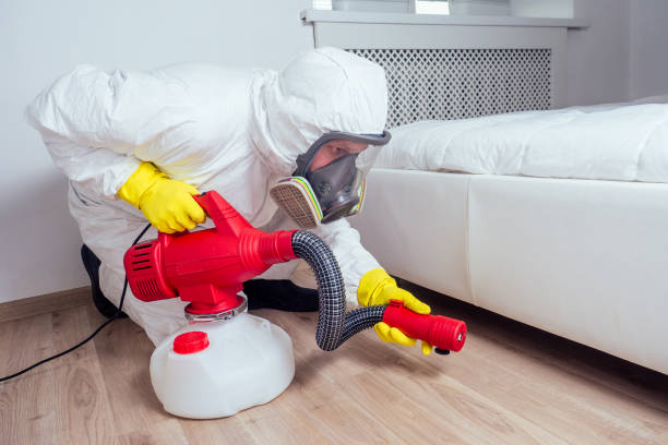 Best Pest Control Treatment  in Lochearn, MD