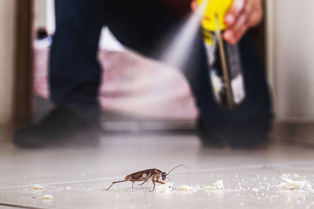 Best Pest Control Near Me  in Lochearn, MD